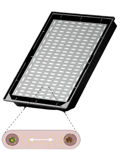Akura Twin Microplate display of Twin units