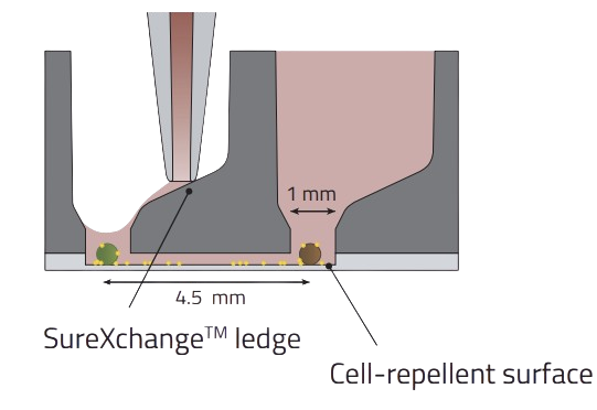 Twin unit drawing