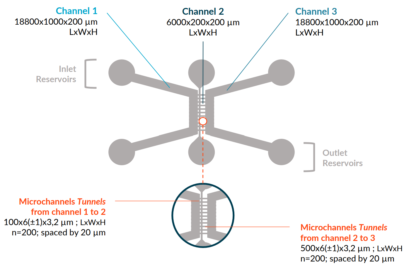 Technical specifications of the DuaLink Shift plate from NETRI.