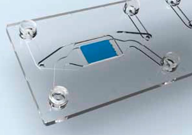 Membrane of the cross-flow membrane organ-on-a-chip