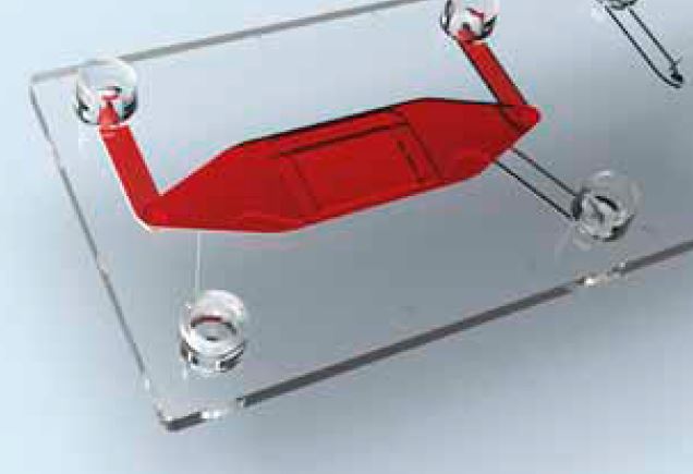 Upper compartment of the cross-flow membrane organ-on-a-chip