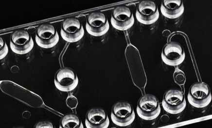 Zoom of the design of the Fluidic 1090 fiber sensor chip