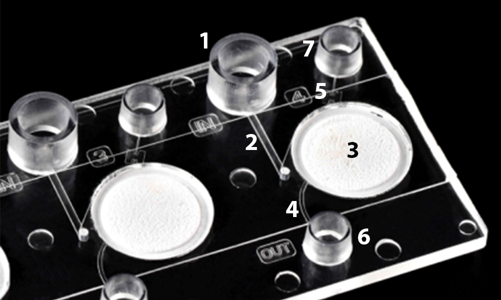 Details of the design of the Fluidic 200 plasma generation chip