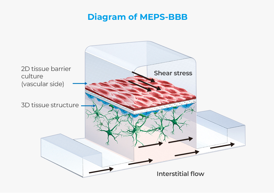 Example of application using the MEPS-TBC platform