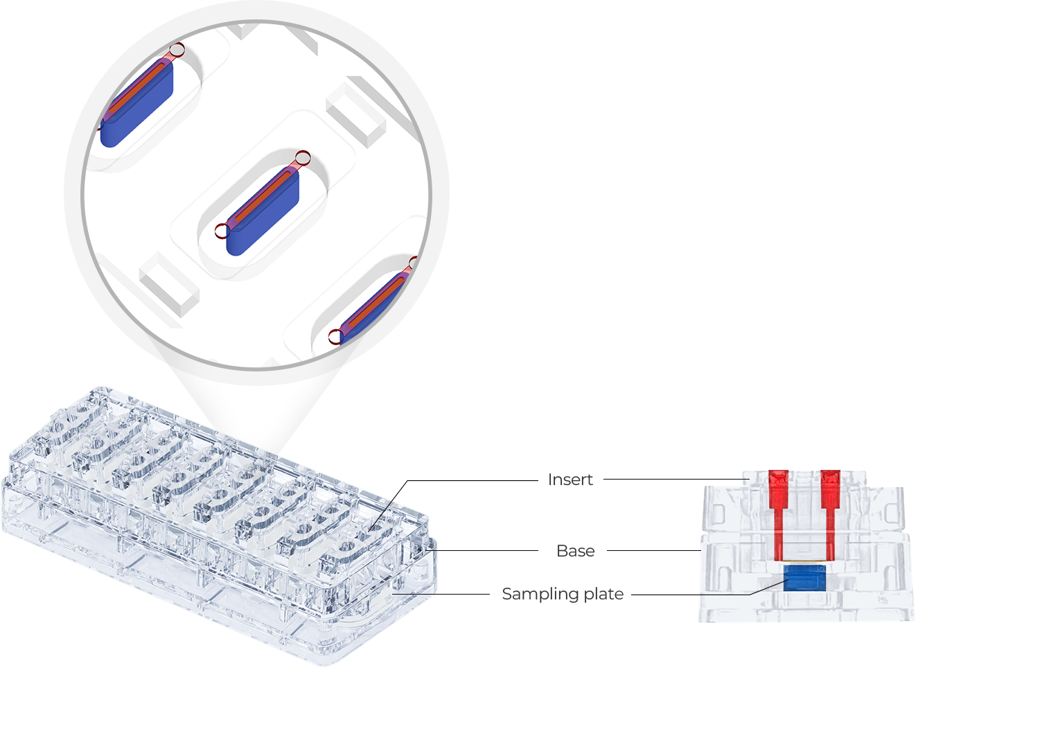 Schema of the MEPS-TBC-WL platform