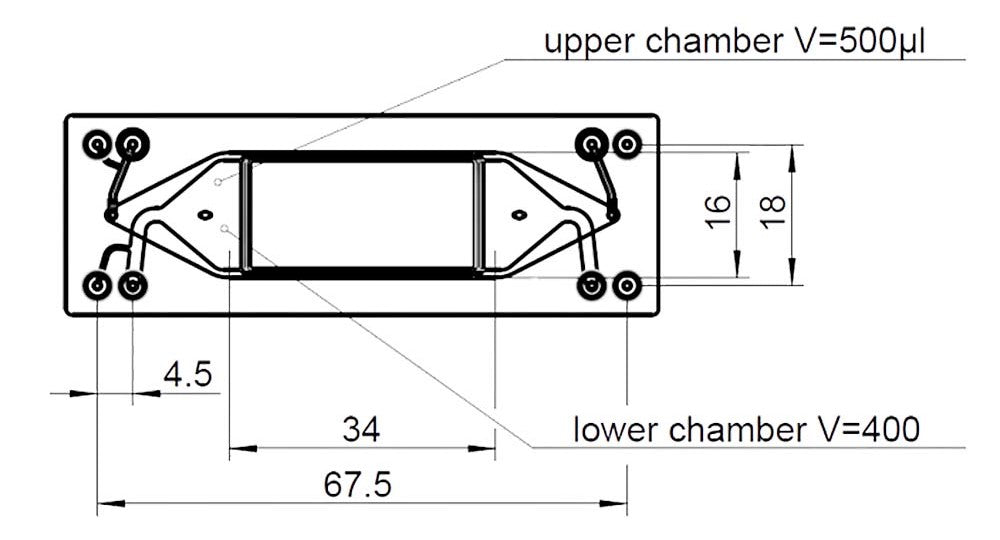 Dimensions of the cross-flow membrane organ-on-a-chip with a large chamber
